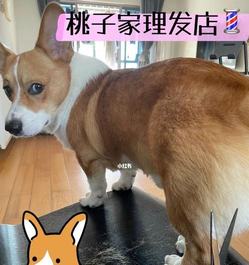 文章详情图片