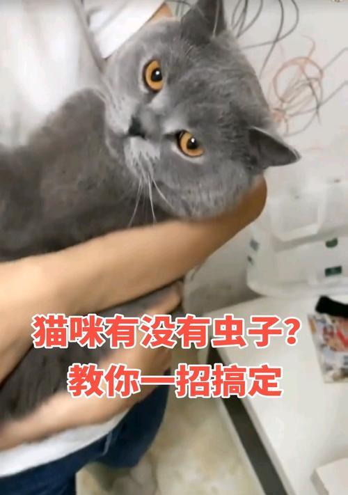 文章详情图片