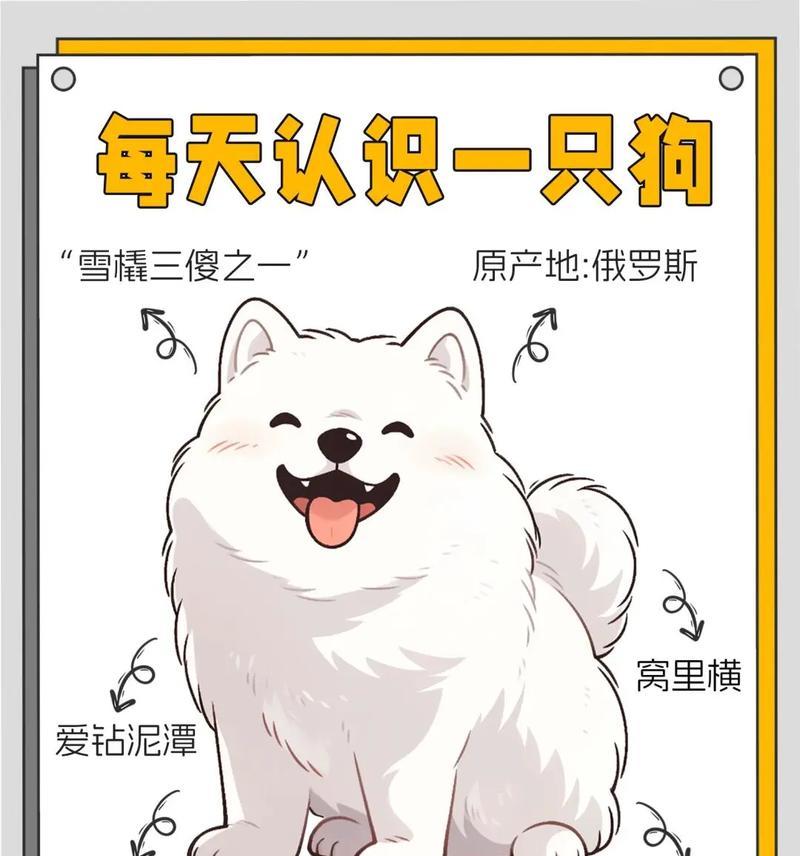文章详情图片