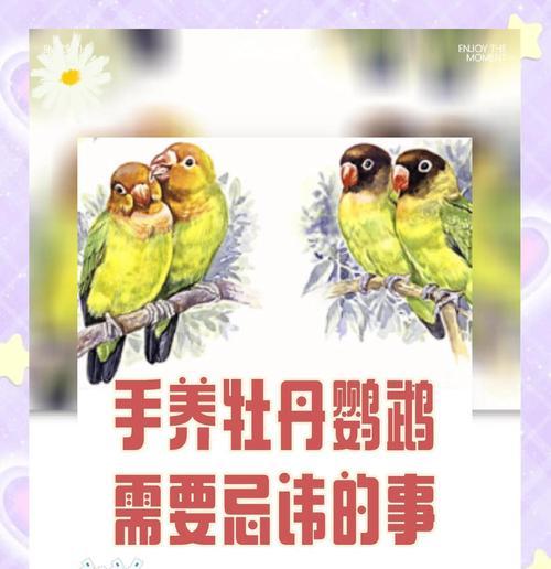 文章详情图片