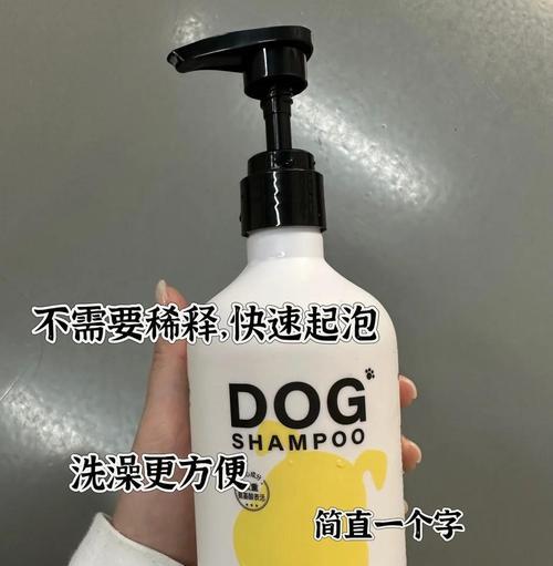 文章详情图片