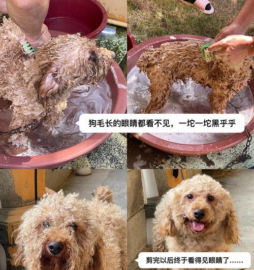 文章详情图片