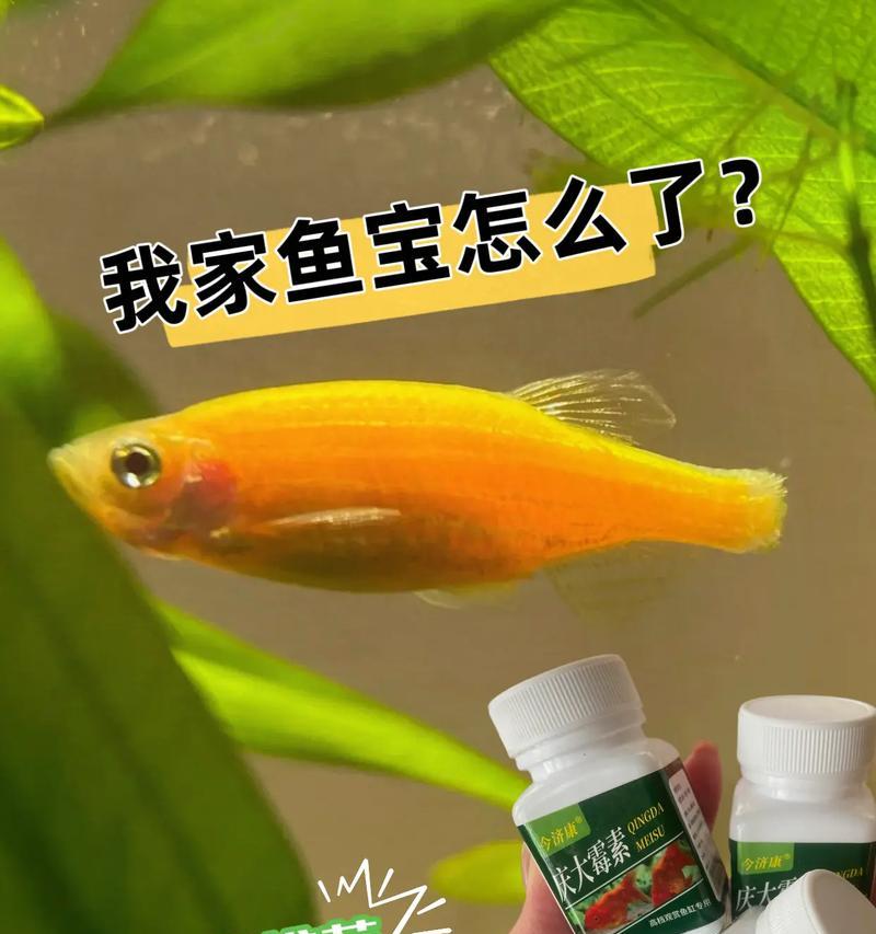 文章详情图片