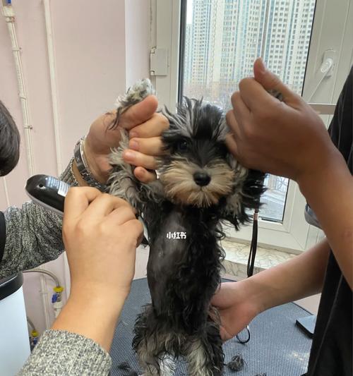 文章详情图片