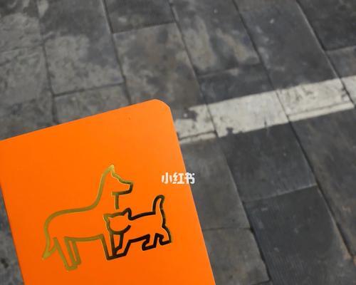 文章详情图片