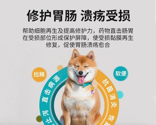 文章详情图片