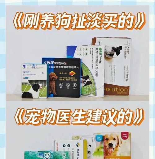 文章详情图片