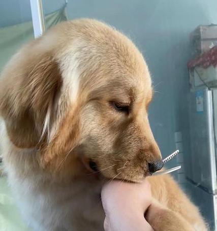 文章详情图片