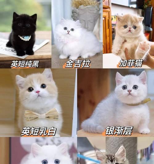 文章详情图片