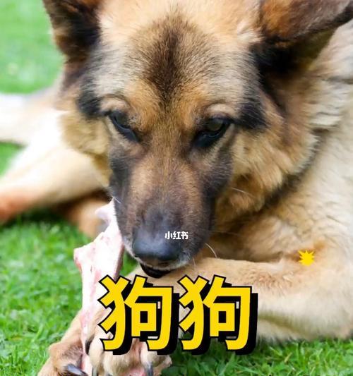 文章详情图片