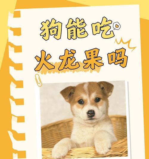 文章详情图片