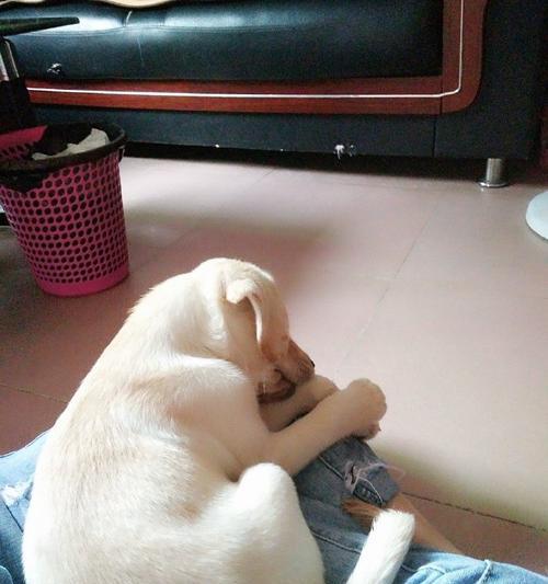 文章详情图片