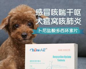 文章详情图片