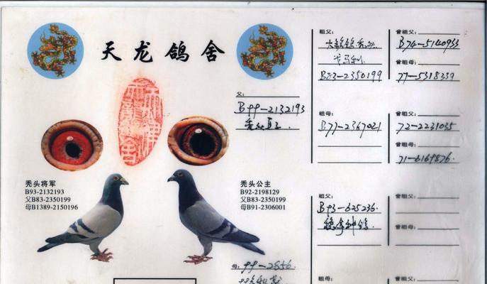 文章详情图片