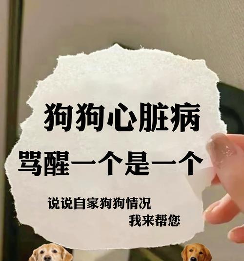文章详情图片