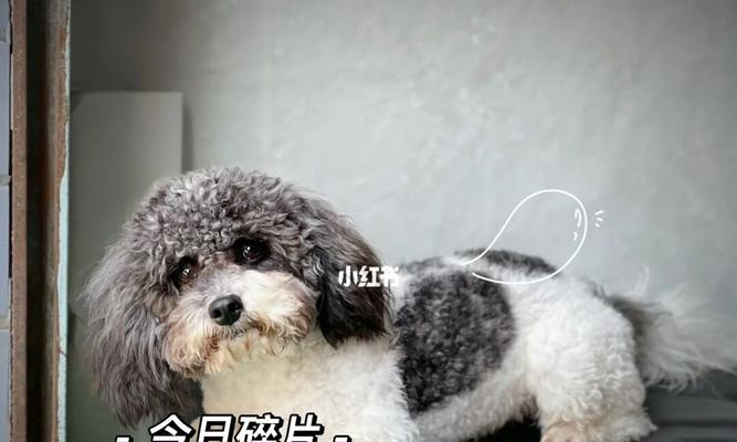 文章详情图片