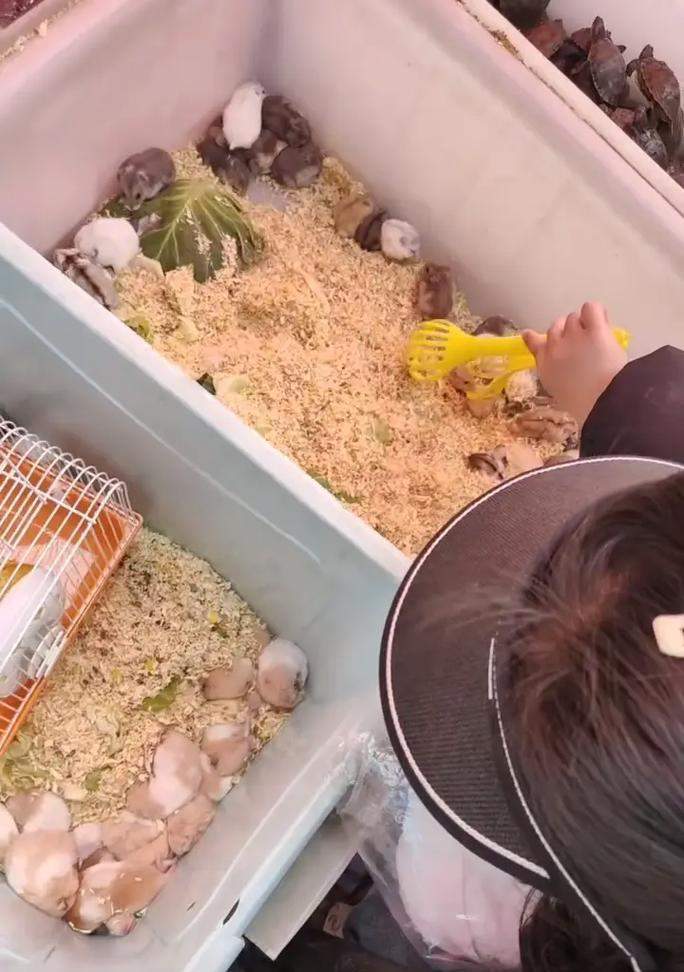 文章详情图片