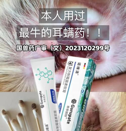 文章详情图片