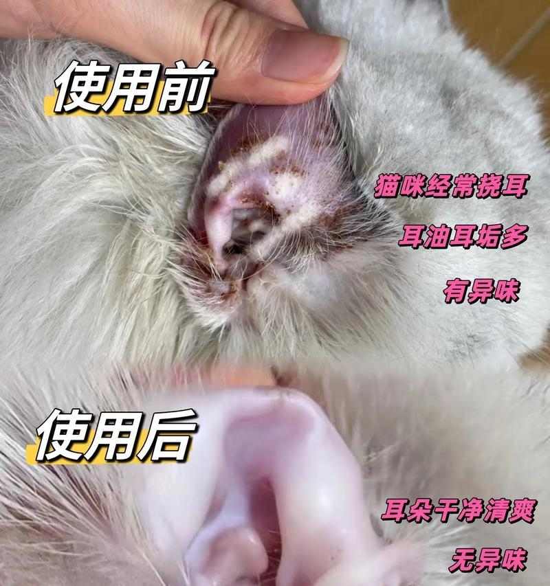 文章详情图片