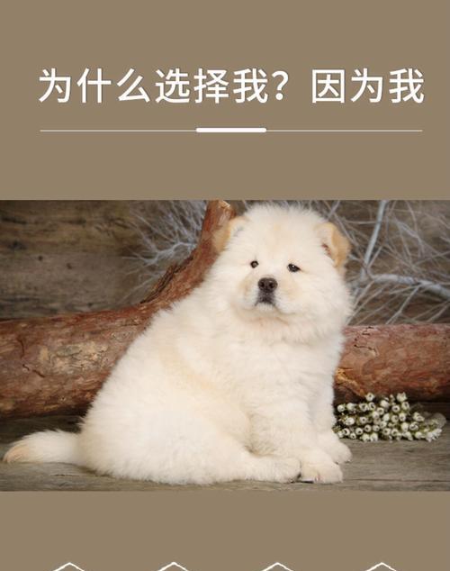 文章详情图片