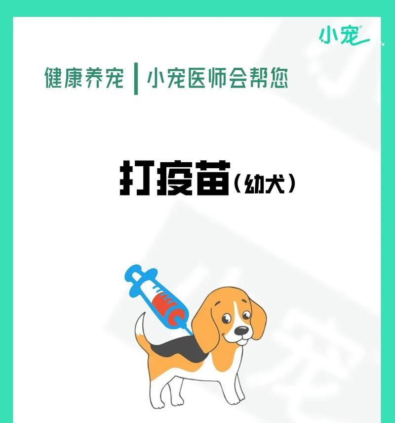 文章详情图片