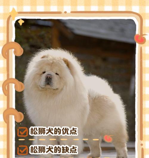 文章详情图片