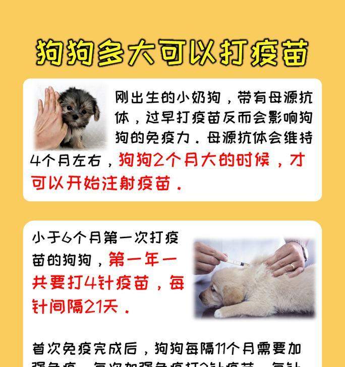 文章详情图片