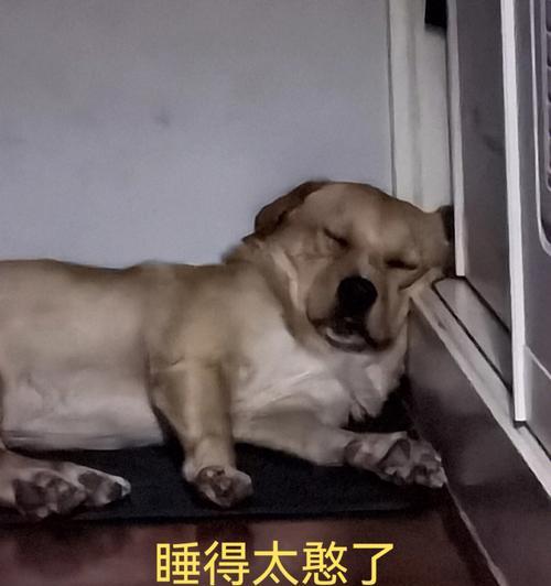 文章详情图片