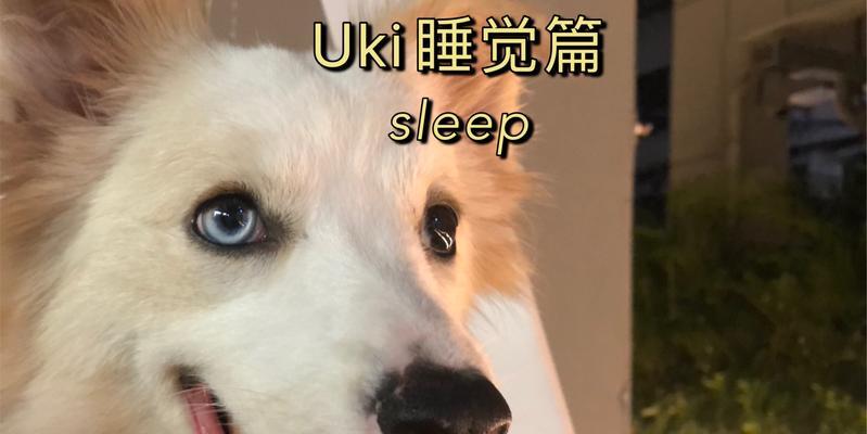 文章详情图片