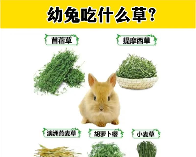 文章详情图片