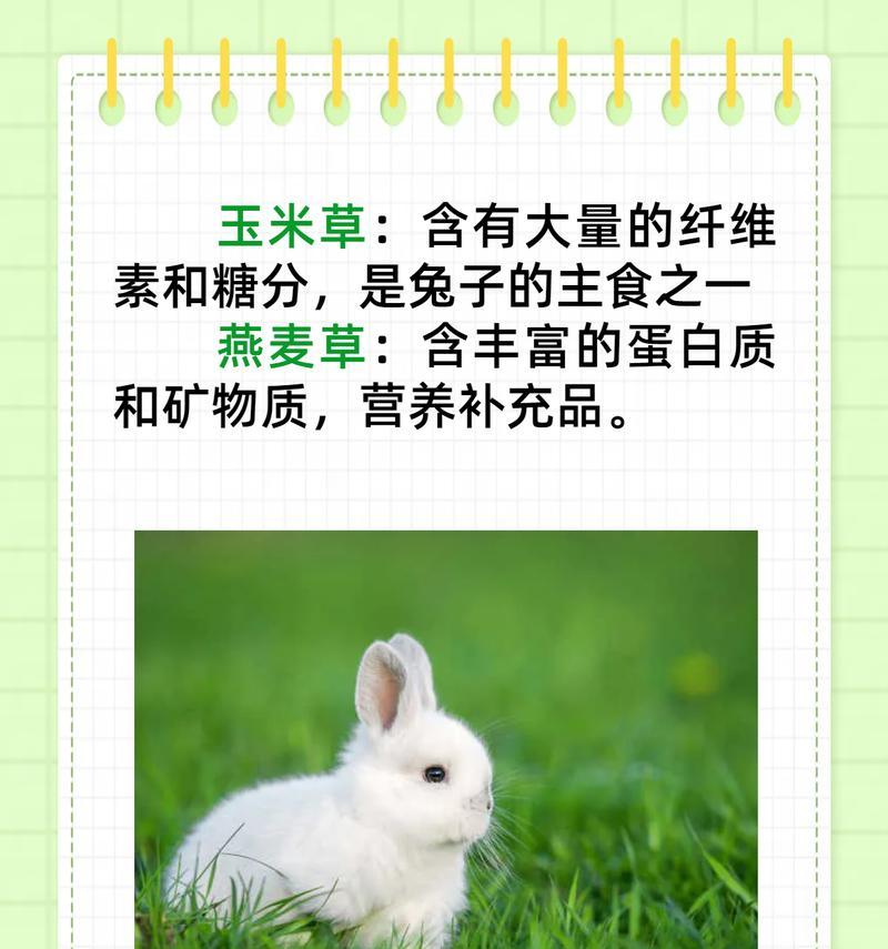 文章详情图片