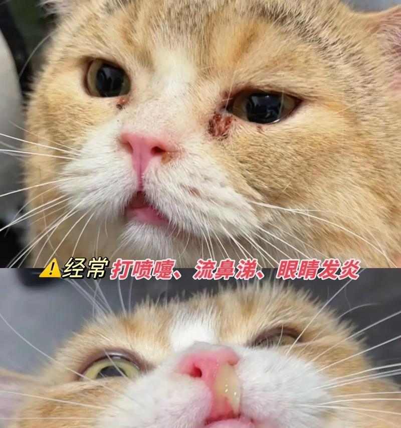 文章详情图片