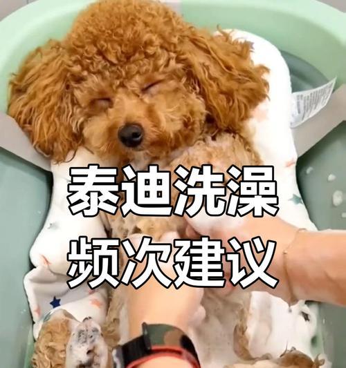 文章详情图片