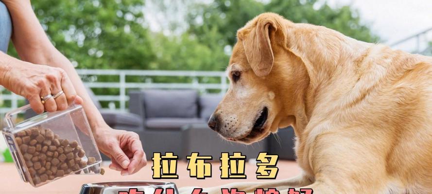 文章详情图片