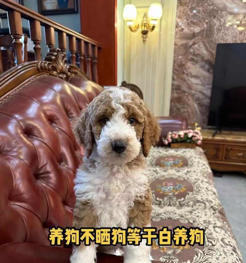 文章详情图片