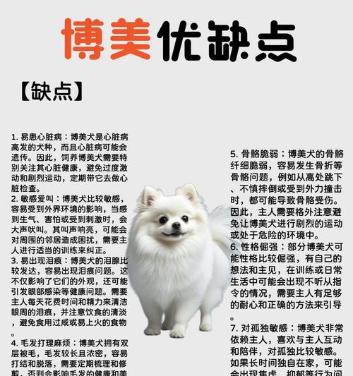 文章详情图片
