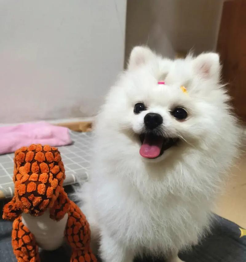 文章详情图片