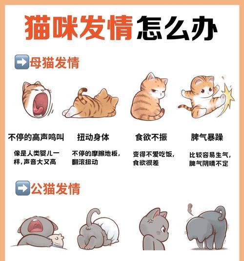 文章详情图片