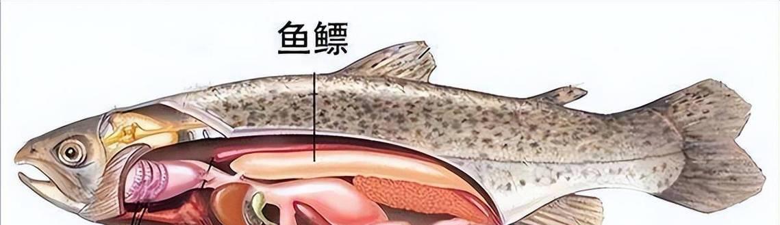 文章详情图片