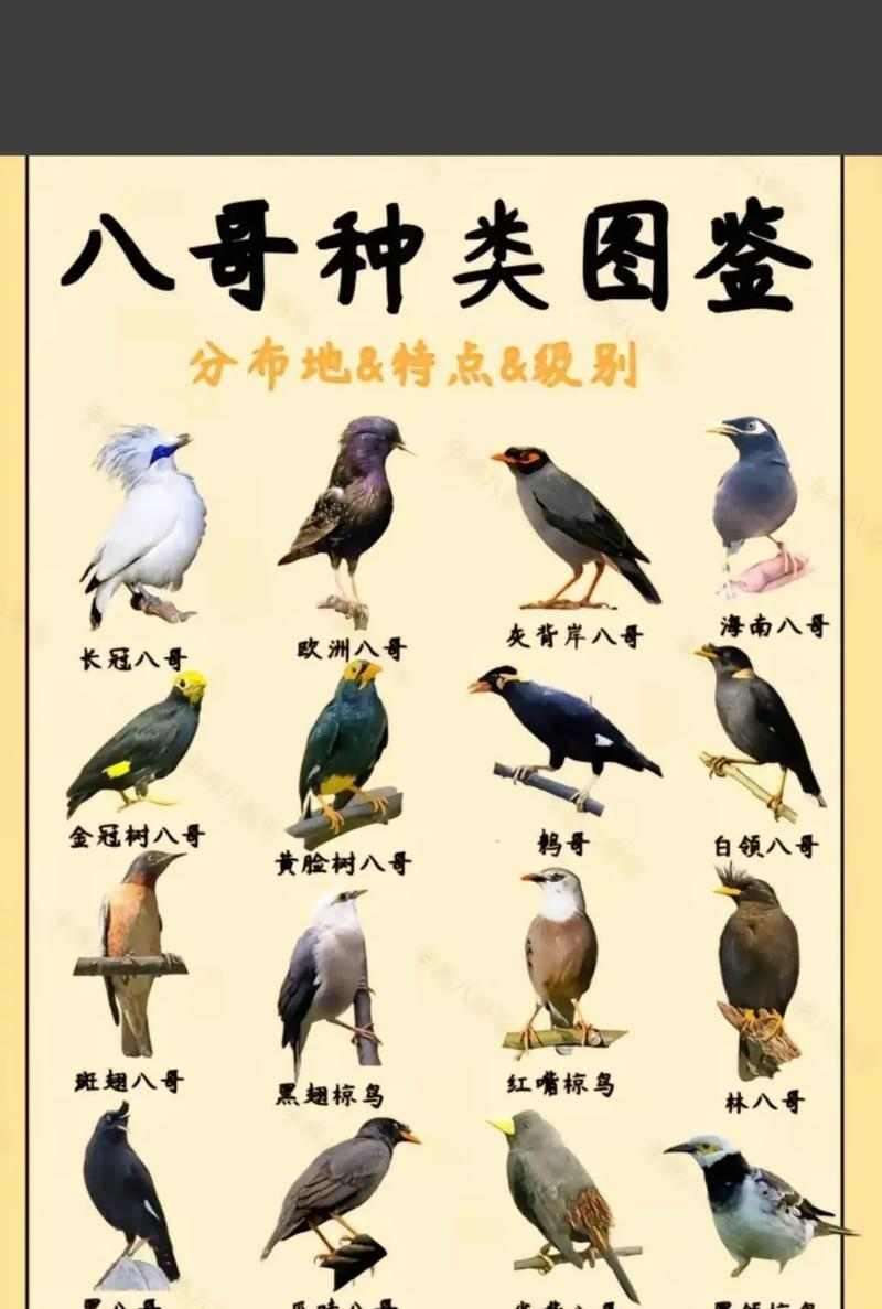 文章详情图片
