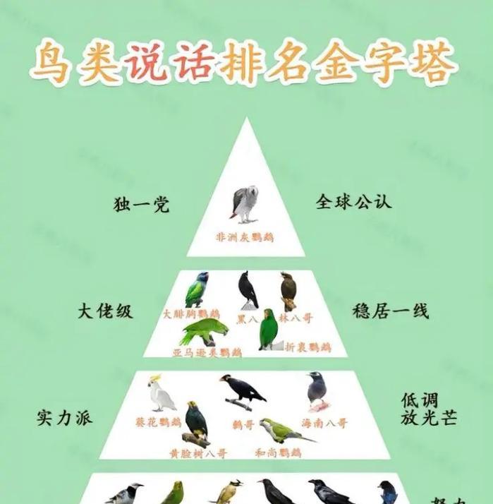 文章详情图片