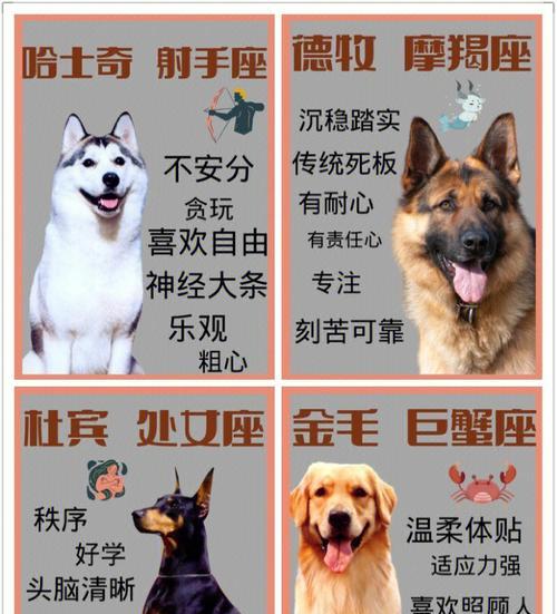 文章详情图片