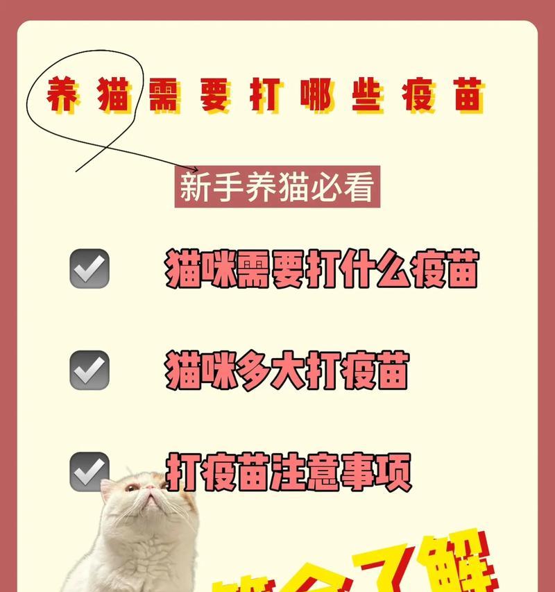 文章详情图片