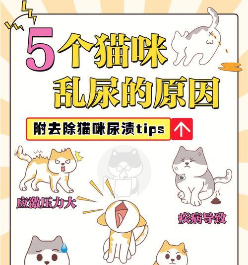 文章详情图片