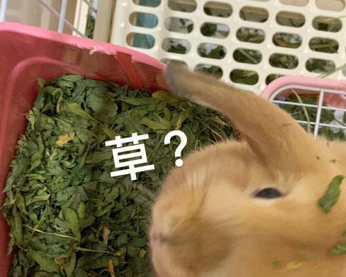 文章详情图片