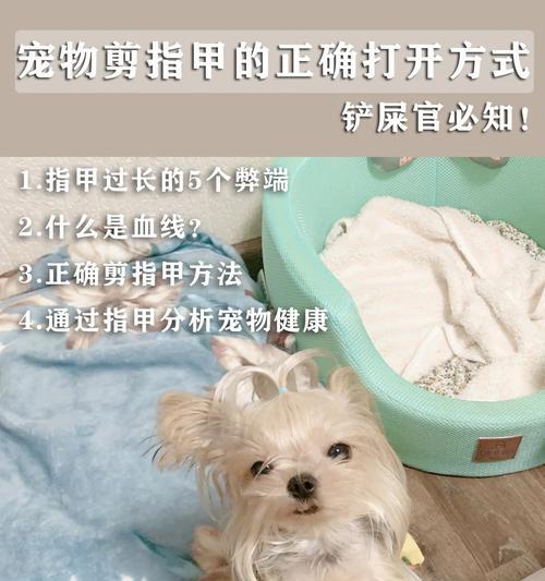 文章详情图片
