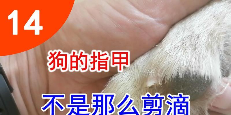 文章详情图片