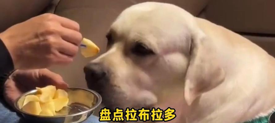 文章详情图片