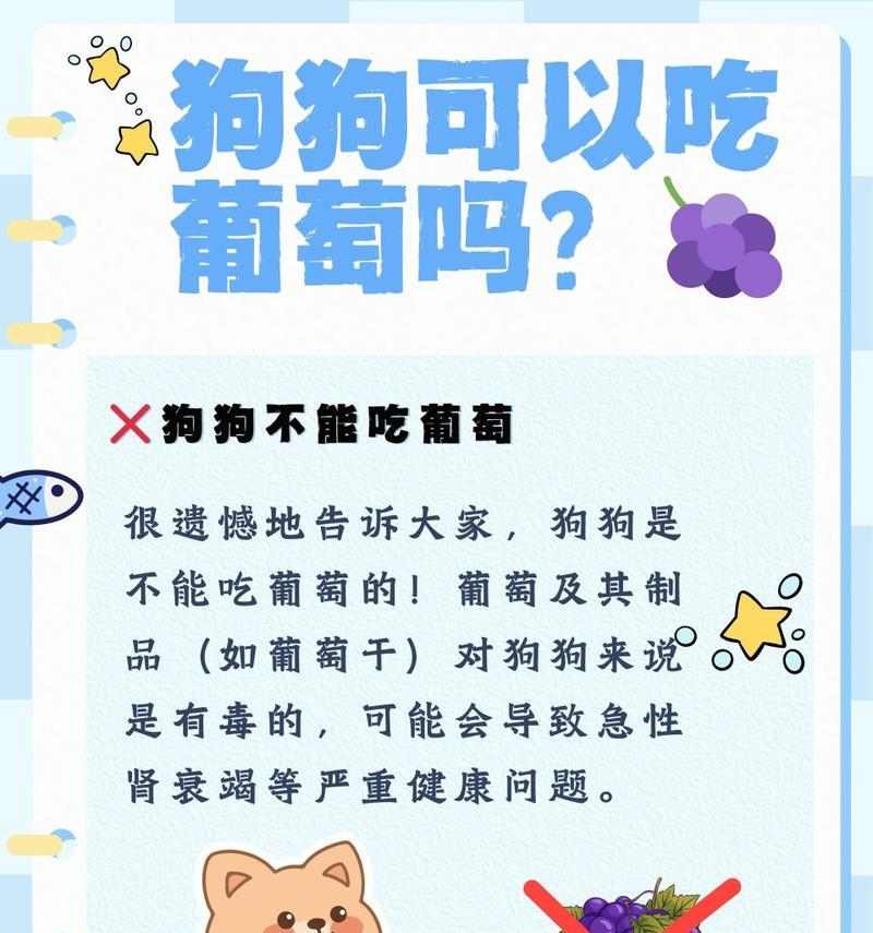 文章详情图片