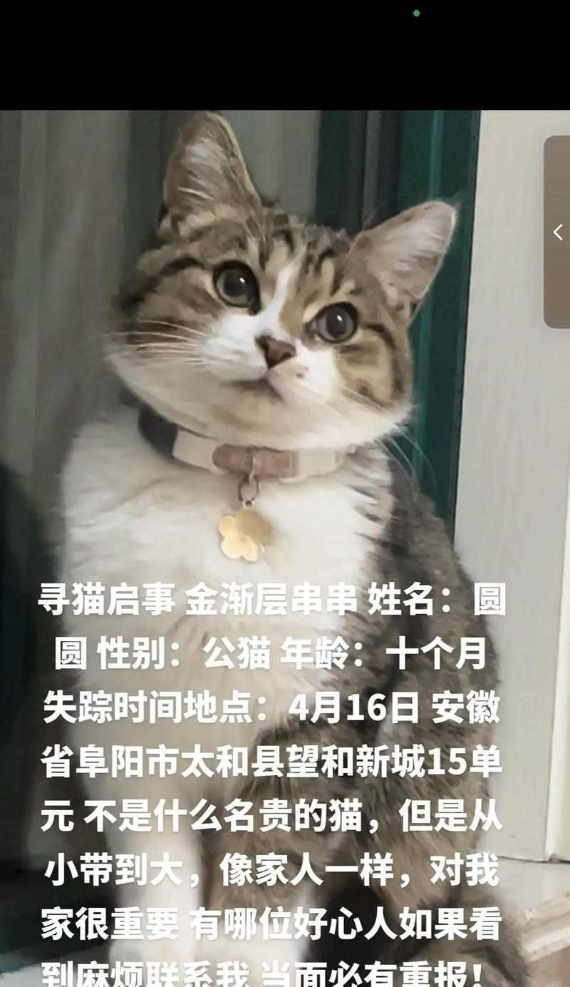 文章详情图片